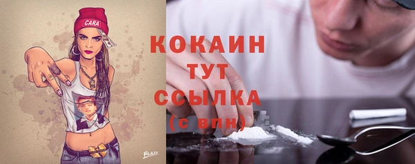 гашик Белоозёрский