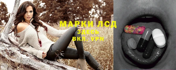 сатива Аркадак