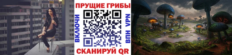 Псилоцибиновые грибы MAGIC MUSHROOMS  Семёнов 